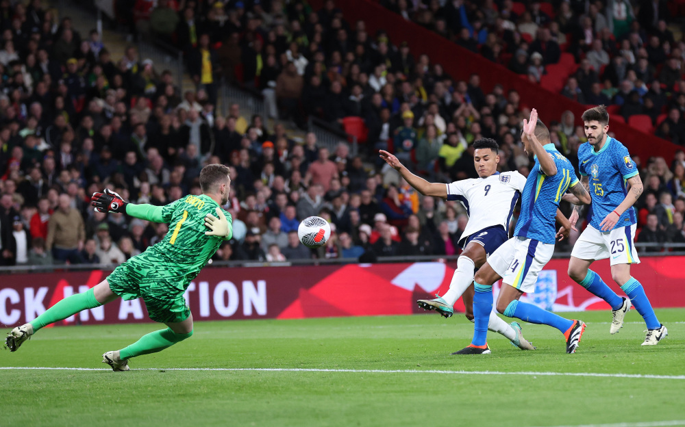 新鲜且充满 新鲜且充满